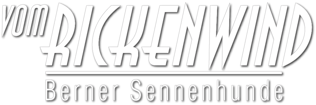 vom-Rickenwind-Berner-Sennenhunde